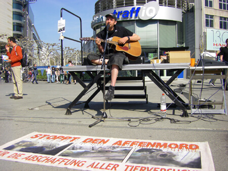 Demo in Frankfurt 2010