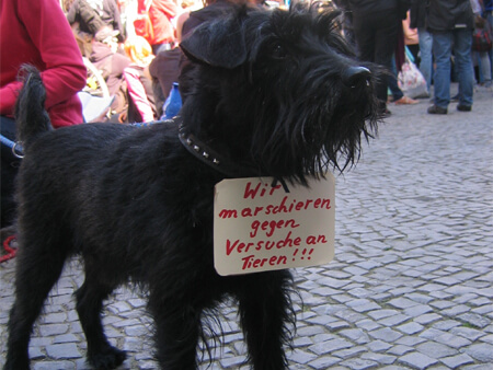 1.000 Menschen demonstrierten gegen Tierversuche - Großdemo in Hamburg 2011