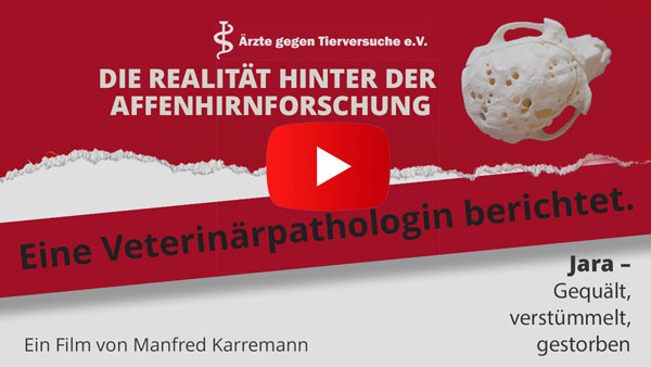 Video zur Affenhirnforschung (Link zu YouTube)