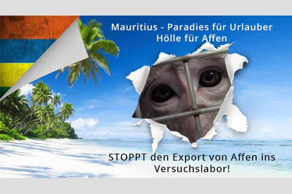 Rettet die Affen von Mauritius!