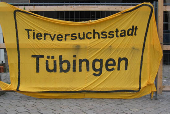 tuebingen15