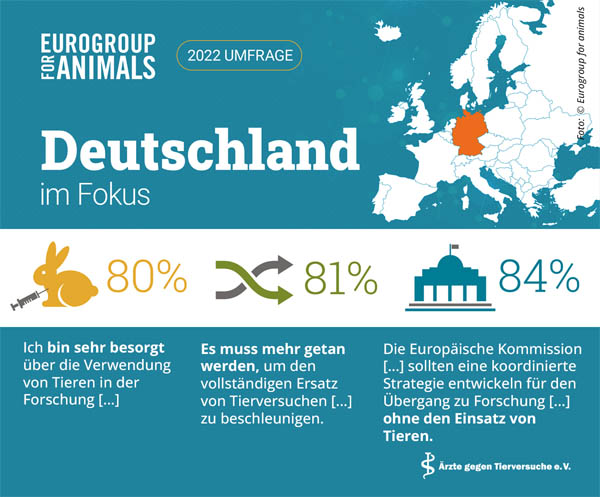 EU-Umfrage zu Tierversuchen